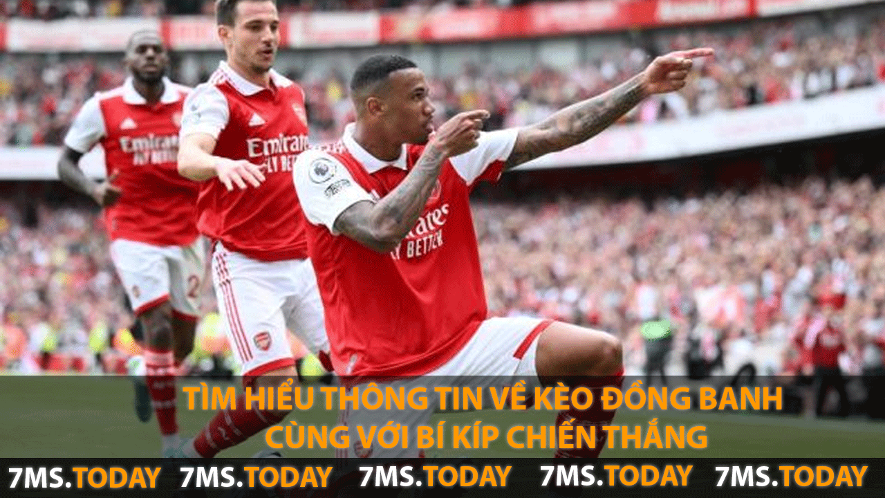 Tìm Hiểu Thông Tin Về Kèo Đồng Banh Cùng Với Bí Kíp Chiến Thắng