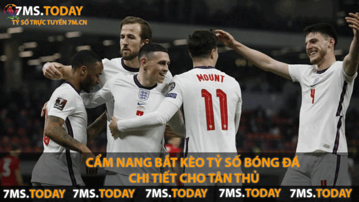 Cẩm Nang Bắt Kèo Tỷ Số Bóng Đá Chi Tiết Cho Tân Thủ