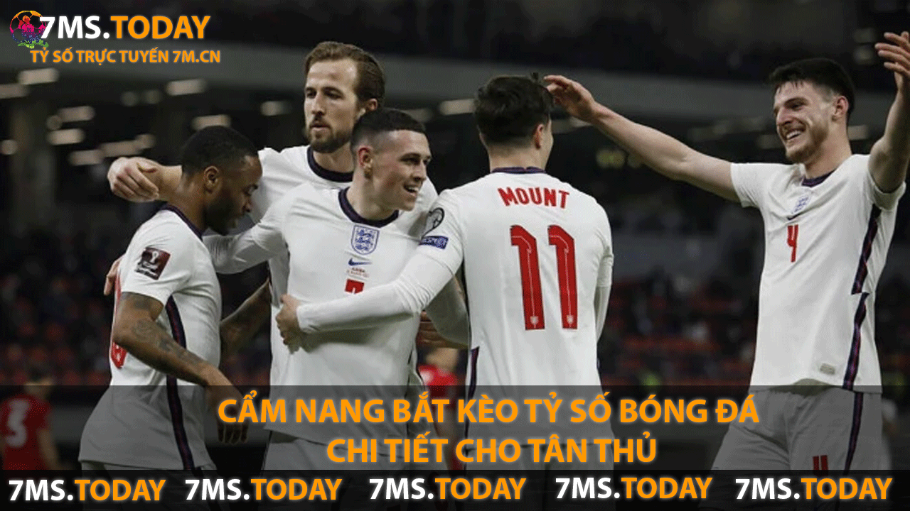 Cẩm Nang Bắt Kèo Tỷ Số Bóng Đá Chi Tiết Cho Tân Thủ