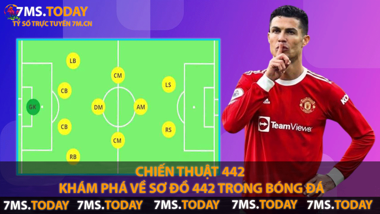 Chiến Thuật 442 - Khám Phá Về Sơ Đồ 442 Trong Bóng Đá